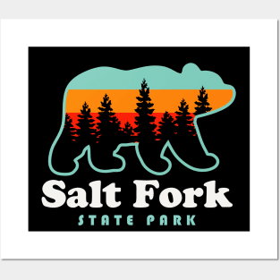 Salt Fork State Park Ohio Bear Retro Sunset Posters and Art